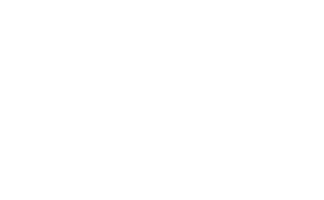 Apexis Risk Innovation Group